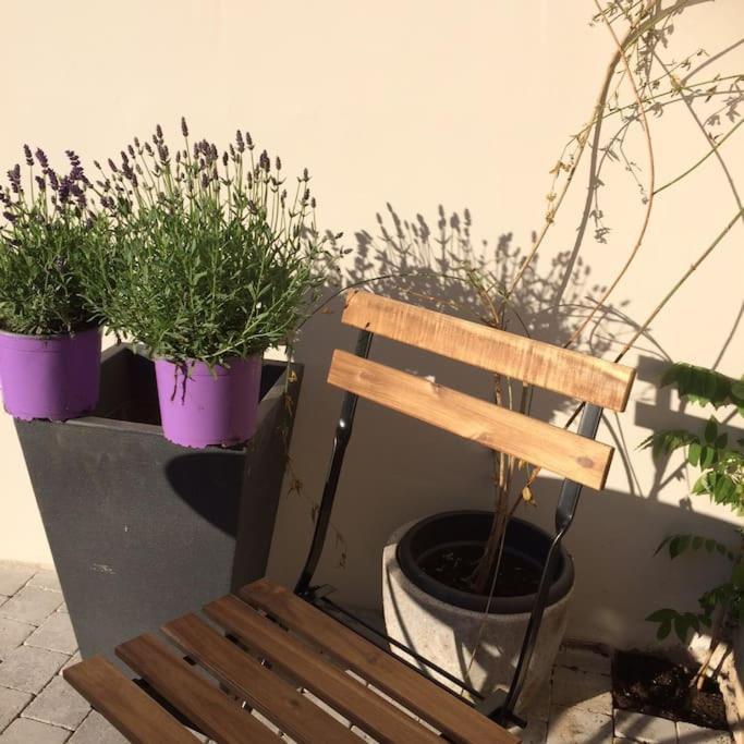 Le Clos De Beauchamp Appartement Le Bord De Mer 2 Velos Sont Disponibles Gratuitement Saint-Valery-sur-Somme Exterior foto